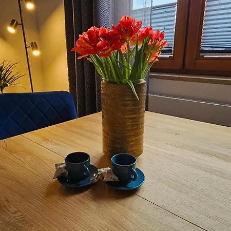 Luxus - Wlan, Smart Tv, Terrasse, Kueche, Handtuecher Apartament
